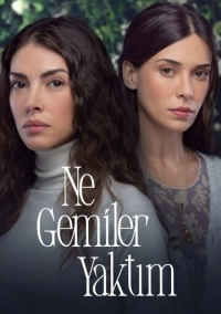 Какие корабли я сжёг (2023)